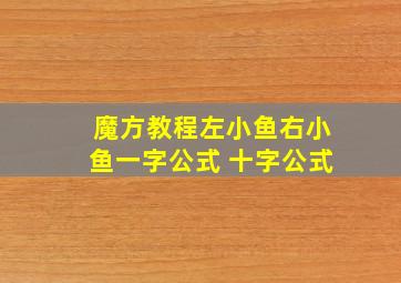 魔方教程左小鱼右小鱼一字公式 十字公式